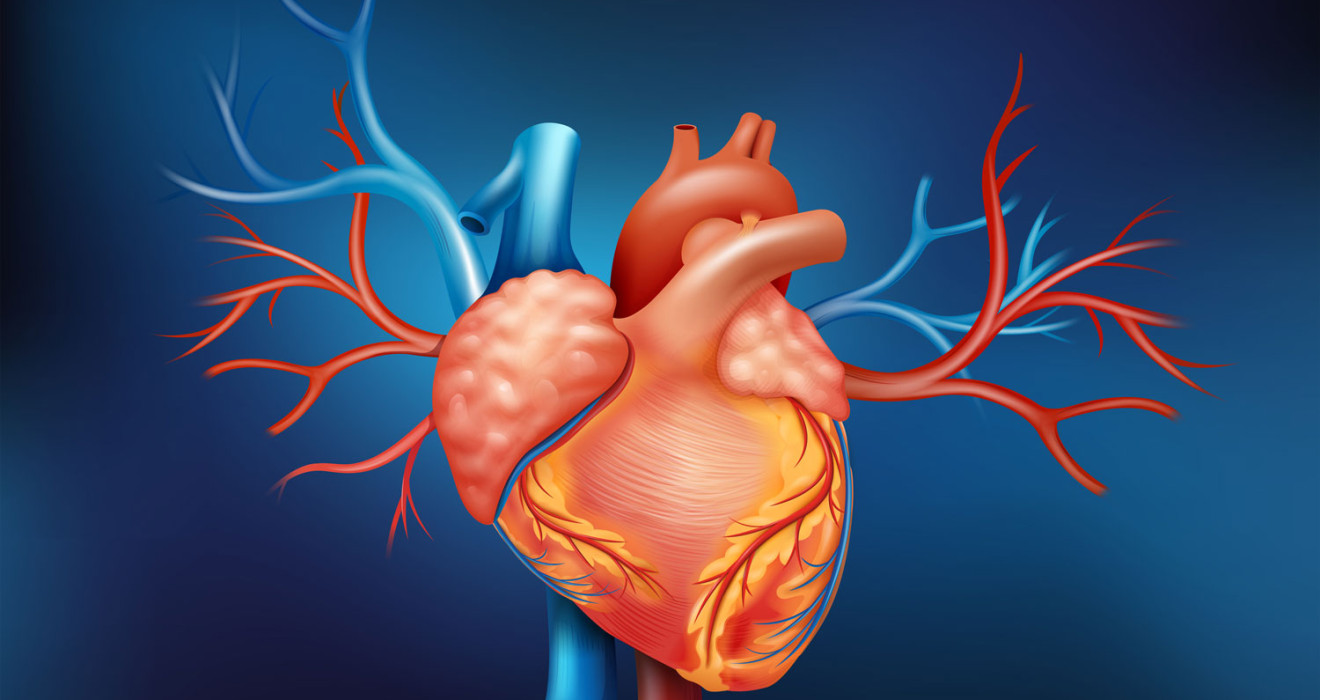 Aort Kapağı Hastalıkları, Aort Kapağı Hastalıkları hastalığı, Aort Kapağı Hastalıkları belirtileri