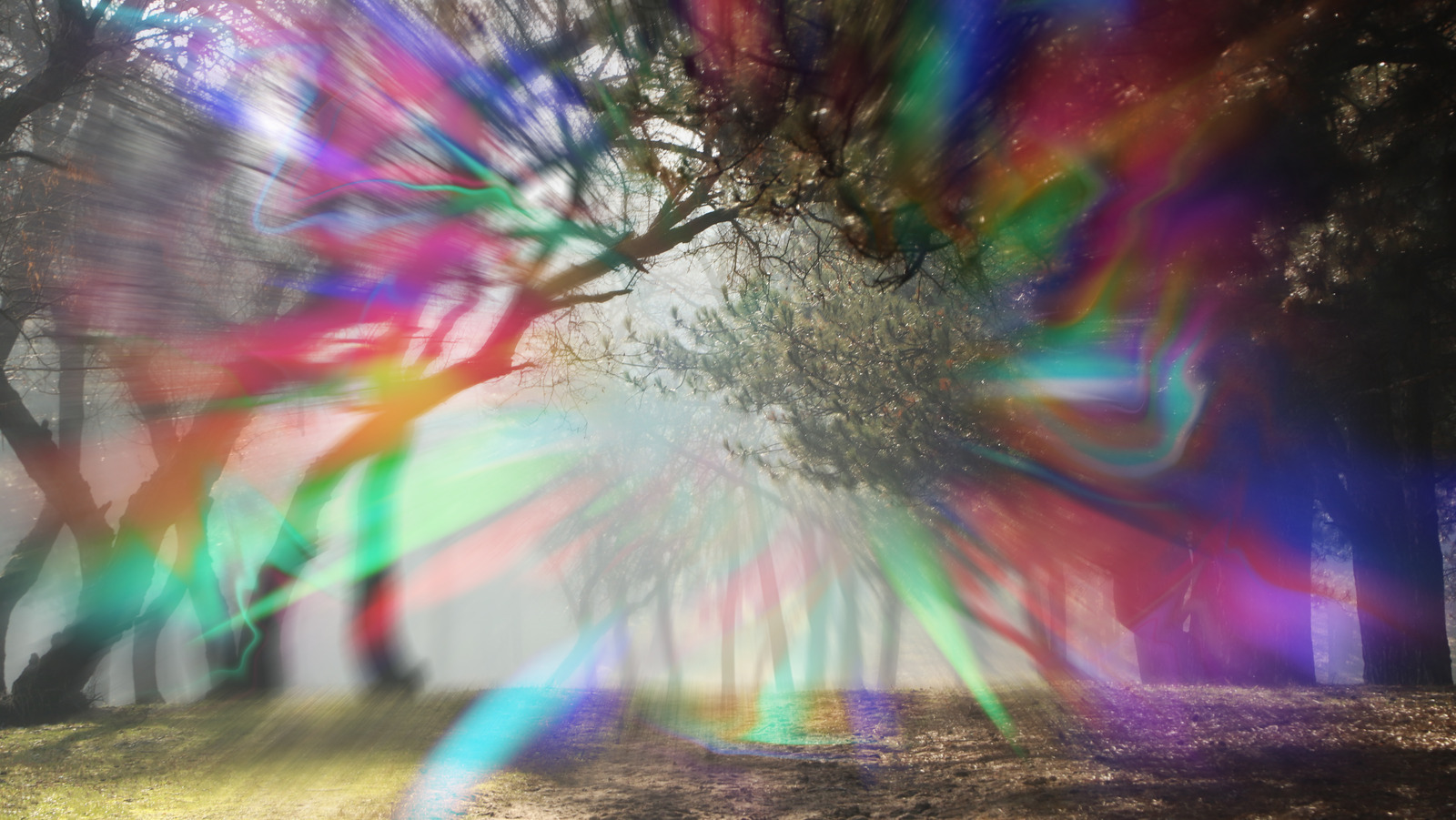 Auralı Göz Migreni