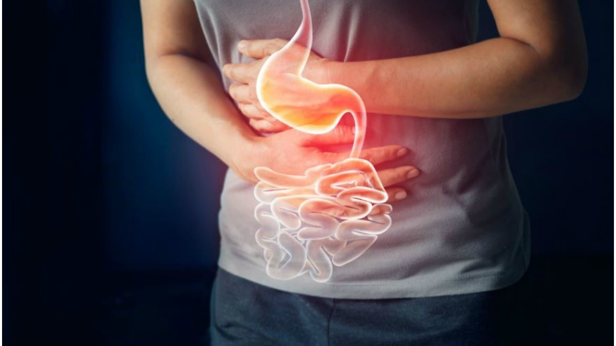 Bağırsak Solucanı, Bağırsak Solucanı hastalığı, Bağırsak Solucanı belirtileri