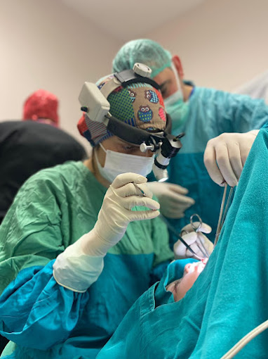 Op. Dr. Elif Emel Kara, ALTINORDU ORDU